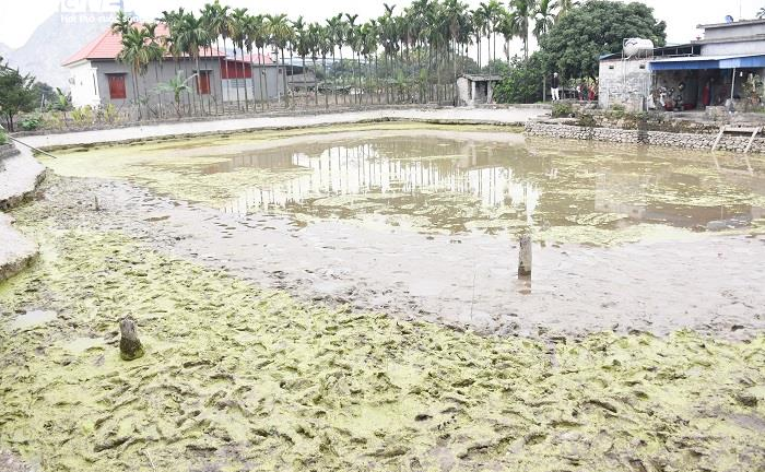 'Chưa kết luận 13 cọc gỗ thuộc trận Bạch Đằng nào'